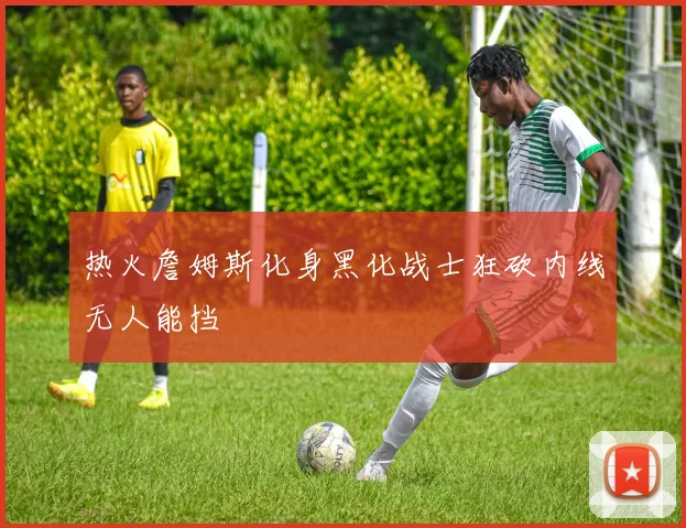 热火詹姆斯化身黑化战士狂砍内线无人能挡