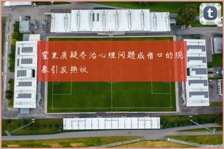 霍里质疑乔治心理问题成借口的现象引发热议