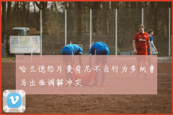 哈兰德怒斥曼奇尼不当行为多纳鲁马出面调解冲突