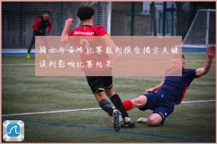 骑士与黄蜂比赛裁判报告揭示关键误判影响比赛结果